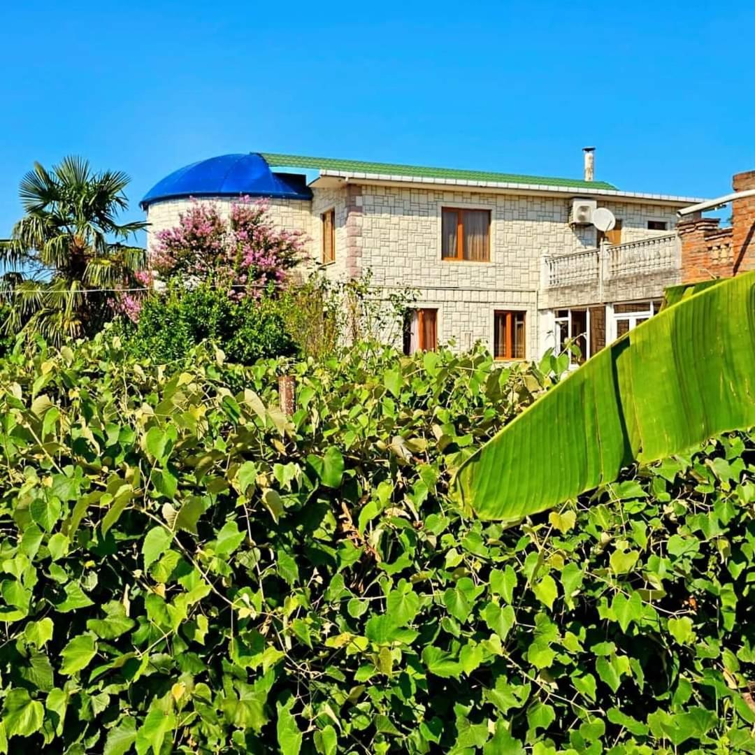 Blue Guest House Samtredia Exteriör bild